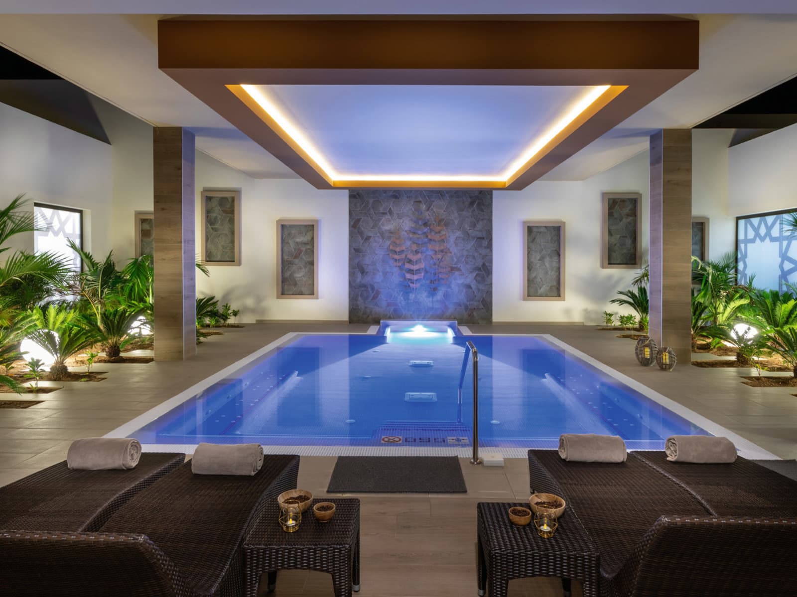 Wellness