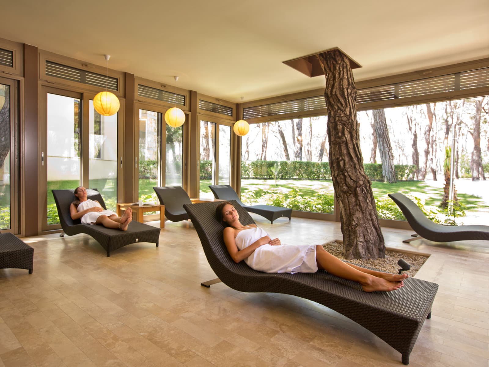 Wellness