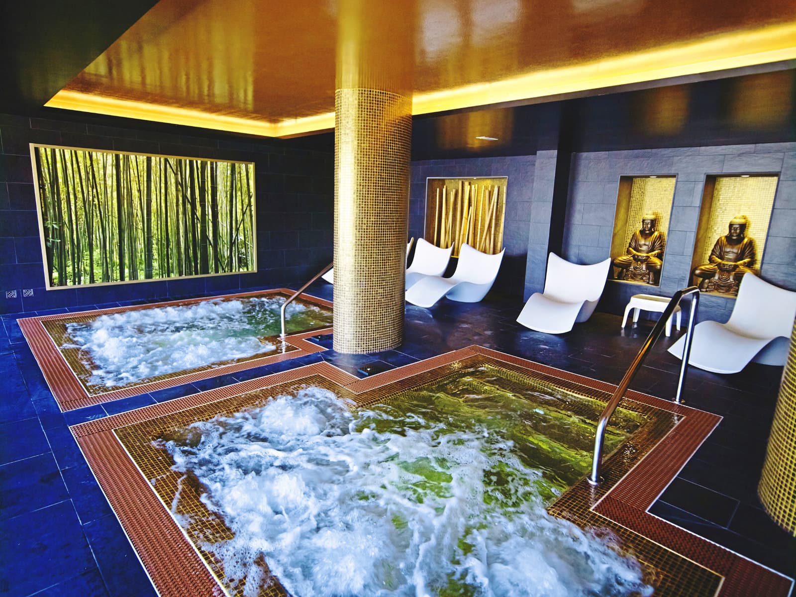 Wellness